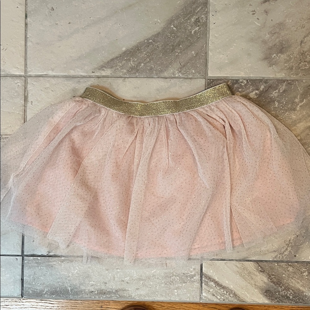 Pink Tulle Skirt with Gold Waistband